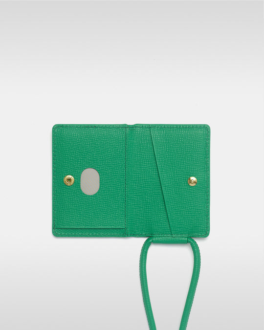 Strapped iPhone Accessory - Jolly Green