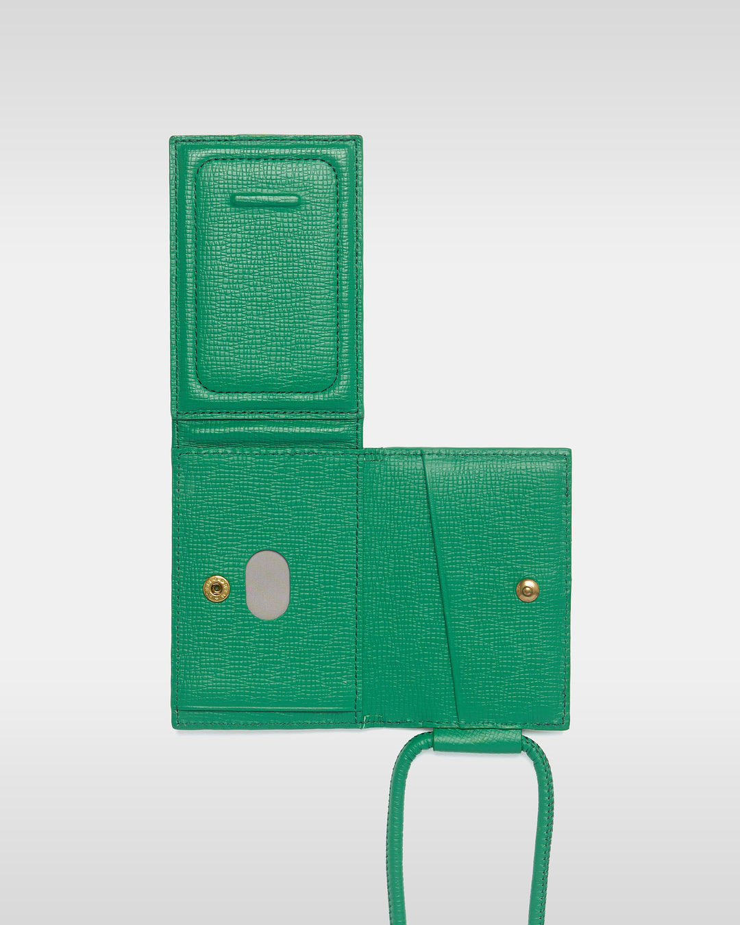 Strapped iPhone Accessory - Jolly Green